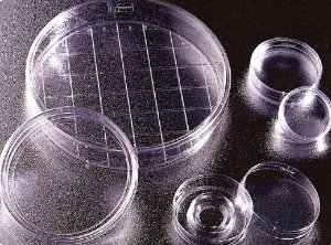 FalconⓇ Easy-Grip 35×10mm Cell culture Dishes (팔콘 셀컬춰디쉬) - 고려에이스 쇼핑몰