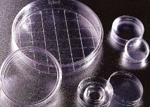 FalconⓇ Bacteriological Petri Dishes,Easy-Grip (팔콘 페트리디쉬_FA.351008) - 고려에이스 쇼핑몰