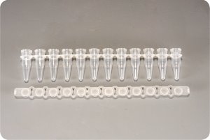 0.2ml 12-Strips PCRⓇ Tubes with Flat cap (PCR 12 스트립 튜브) - 고려에이스 쇼핑몰