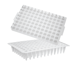 96-well PCR Microplates_ No Skirt, Flat Top (96 PCR 플레이트_AX.PCR-96-FLT-C) - 고려에이스 쇼핑몰