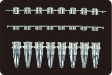 0.2ml 8-Strips PCRⓇ Tubes (PCR 8스트립 튜브_AX.PCR-0208- ) - 고려에이스 쇼핑몰